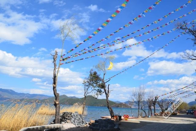 {ONEBETS}(悠哉旅游网官网)